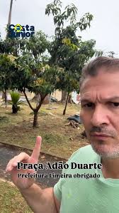 TEMA: MOÇÃO DE APLAUSOS 👏👏👏👏👏👏👏👏👏👏👏👏 HOMENAGEADO: DENIS ZANETTI  QUINTÃO MEMBRO DA EQUIPE DE JARDINAGEM MUNICIPAL UMA HOMENAGEM EXTENSIVA À  TODOS OS SERVIDORES E COLABORADORES DO MUNICÍPIO, EM ESPECIAL AOS GARIS E A