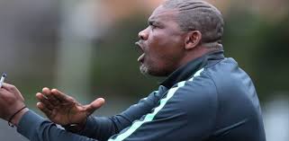 The new bafana bafana coach, hugo broos, has come back to the country to start on the team's 2022 world cup qualifying campaign games. Bafana Bafana Coach Leads List Of Afcon Flops Facing The Guillotine Panafricanfootball