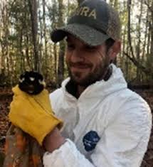 The Distribution and Conservation Status of the Green Salamander (Aneides  aeneus) in Tennessee, USA