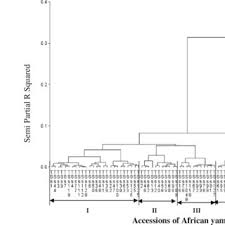 Image result for Sphenostylis briartii