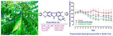 Image result for Cordia grandicalyx