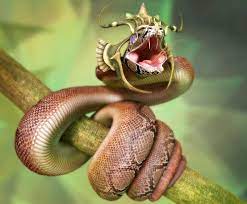 Untitled By Alexander Beim Lotusart Snake Wallpaper Snake Animal Wallpaper