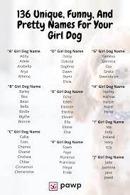 136 Unique Funny And Pretty Names For Your Girl Dog Girl And Dog Pretty Names Girl Dog Names