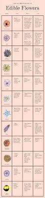 We did not find results for: Ultimate Guide To Edible Flowers The House That Lars Built