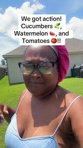 Can I Plant Cucumbers and Watermelon beside Each Other