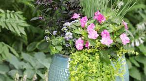 These are actually tender perennials typically they tolerate heat and bloom throughout the growing season, filling containers, beds and borders with color. Heat Tolerant Annuals That Bloom All Summer Long Better Homes Gardens