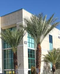 For almost 30 years our mission has been to provide the highest level of women's health care in southern nevada.with a team of 4 highly skilled and experienced medical doctors and a nurse practitioner specializing in women's health, meadows women's center continues this. Free And Income Based Clinics North Las Vegas Nv