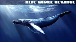 Jun 13, 2021 · redbubble trademarkia niches results number of sellers price range best selling products tags; Blue Whale Revange Pour Android Telechargez L Apk