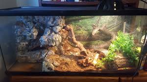 First Time Making A Waterfall For My Ball Python And It Works Reptile Terrarium Ball Python Waterfall