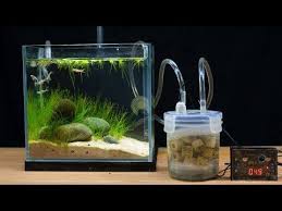 Make Filter For Mini Fish Tank Youtube Fish Tank Diy Fish Tank Small Fish Tanks