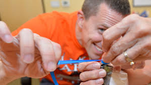 Luke Service Blitz Sends 3,000 Airmen into Community > Luke Air Force Base  > Article Display