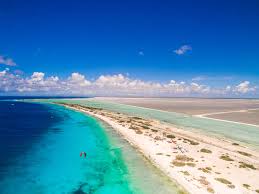 Bonaire is an intimate destination of only 112 square miles and is located just 50 miles north of venezuela. Kiteworld Magazine The Original International Kitesurfing Magazine