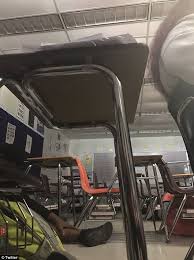 We did not find results for: Horrifying Videos Show Inside Florida School Shooting Daily Mail Online