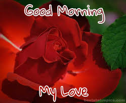 Romantic Good Morning Images Pics Hd Download In 2020 Good Morning Images Morning Images Good Morning Photos