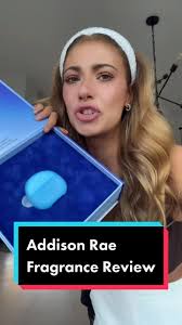 Honest Review Addison Sofa