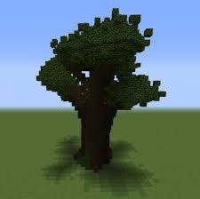 Dark Oak – Minecraft Wiki