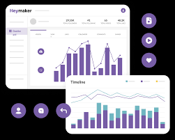 Heymaker - Advanced TikTok Analytics for Audience Growth