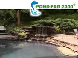 Maybe you would like to learn more about one of these? Fish Pond Sealer Pond Pro 2000