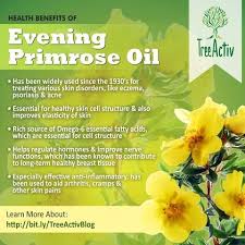 Evening Primrose Oil Health Primrose Oil Coconut Health Benefits