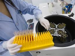 Lechenie Gepatita C V Sankt Peterburge Lechenie Hronicheskogo Gepatita Stvolovymi Ikletkami