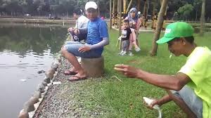 Kolam Pemancingan Kabeda Depok Jakarta Youtube