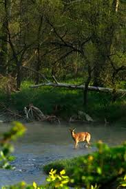 See tripadvisor's 2,427,854 traveler reviews and photos of kid friendly pennsylvania attractions Hunting Mckean County Hunter S Paradise Allegheny National Forest Visitors Bureau