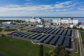 Iguane vs serpents tension maximale zapping sauvage. Wiseed Energies Renouvelables Centrale Photovoltaique De Saint Alban Finance En 2020