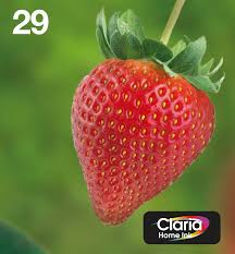 Retrouvez aussi tous nos produits de notre univers cartouche. Epson 29 Claria Home Strawberry Cartouche Dencre Dorigine Noir Accessoires Cartouches D Encre