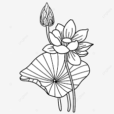 Crayon atau krayon merupakan salah satu alat mewarnai yang. Gambar Lotus Lotus Angka Tangan Dicat Tongkat Clipart Hitam Dan Putih Teratai Bunga Teratai Png Transparan Clipart Dan File Psd Untuk Unduh Gratis