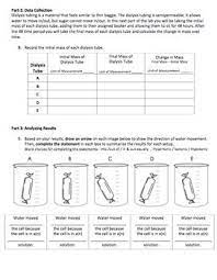 We provide a world to be explored rather than a path to be followed. Dialysis Virtual Lab Biology Worksheet 14 Best Images Of Enzymes Worksheet Answer Key Enzymes Also Learn About Cell Transport