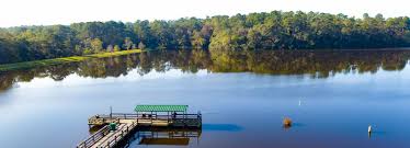In an effort to create accurate dmr repeater information for the state of alabama, the dmarc admins, the alabama repeater council, repeater book, tuscaloosa amateur radio club, and volunteers are working to maintain this dmr information for easy radio programming. Coffee County Al Official Website