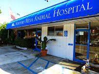 Newport Mesa Animal Hospital - Photos - Google Hospital Animal Hospital Hospital Photos