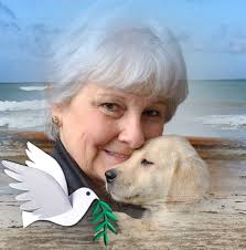 ✨ Meet the Masters ✨ At the heart of the Portuguese School of Equestrian  Art are riders whose lives have been dedicated to the art, discipline, and  tradition of classical horsemanship. We