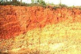 Tanah podzolit adalah tanah yang terdapat di daerah pegunungan yang memiliki curah hujan tinggi serta bersuhu rendah. Tanah Laterit Ilmugeografi Com