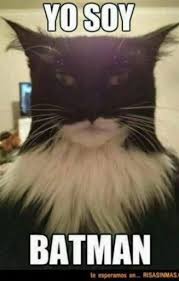 Nuevos Memes Espanol Video Funny Dog Memes Funny Animal Memes Really Funny Memes