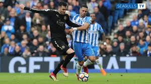 Brighton & hove albion fc. Brighton Hove Albion 0 Leicester City 2 Youtube