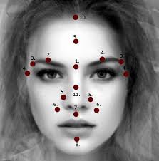 Ayurvedicheskij Marma Massazh Lica Effektivnoe Sredstvo Omolozheniya Golbis Lico Massazh Ayurveda