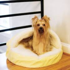 All categories pets & animals dogs beds & baskets antiques & collectables art baby gear books building & renovation business, farming & industry cars, bikes & boats clothing & fashion computers crafts. Snoozer Luxury Cozy Cave Dog Bed 28 Colors Fabrics 3 Sizes
