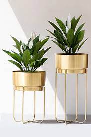 Champagne Gold Planters By The Decor Remedy Home Decor Plant Decor Indoor House Plants Decor Gold Planter
