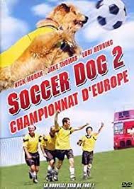 Le championnat d'europe de football est la plus importante compétition masculine européenne de pour l'édition 19685, l'uefa renomme sa compétition en championnat d'europe des nations et. Football Dog Championnat D Europe Fr Import Amazon De Tung Sandy Dvd Blu Ray