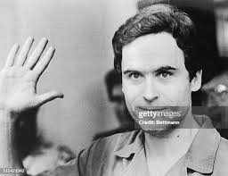 84 Lisa Bowman Photos & High Res Pictures