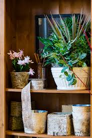 We did not find results for: Flowers By Leslie Portsmouth Nh Flower Store Lee Germeroth Photography 0005 Lee Germeroth Photography