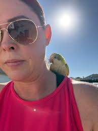 Lost quaker parrot found in Celina, Texas