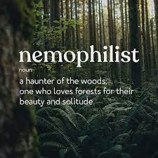 6 posts published by nillypie during november 2013. Santuario Kochistli According To Google Nemophilist Pronounced Ne Mo Fe List Is An Obscure Word That Hasn T Really Been Used For Over 100 Years It Means Someone With A Love Or Fondness For Forests