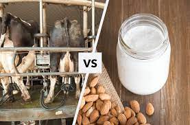 Have you ever wondered just how your milk really stands up to other drinks? 10 Reasons To Avoid Milk And Dairy One Ingredient Chef