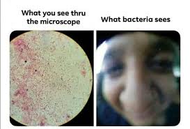 Viral Medical Memes - Wild Health Summits : Connectivity