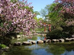 Karlsruhe Germany Stadtgarten Karlsruhe Germany Nature Photos