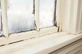 Le programme interflora + ne s'applique pas aux commandes internationales ou utilisant le mode livraison livraison sans adresse. 9 Solutions Pour Lutter Contre L Humidite Dans La Maison