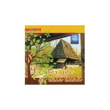 Muzică de chef şi voie bună in romana? Cd S