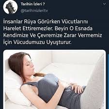 Huri Adli Kullanicinin Bilgi Panosundaki Pin 2020 Bilgi Karti Gercekler Bilgi